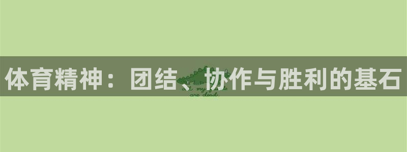 b体育必一运动官网