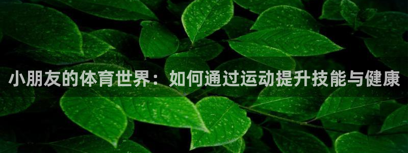 必一运动体育