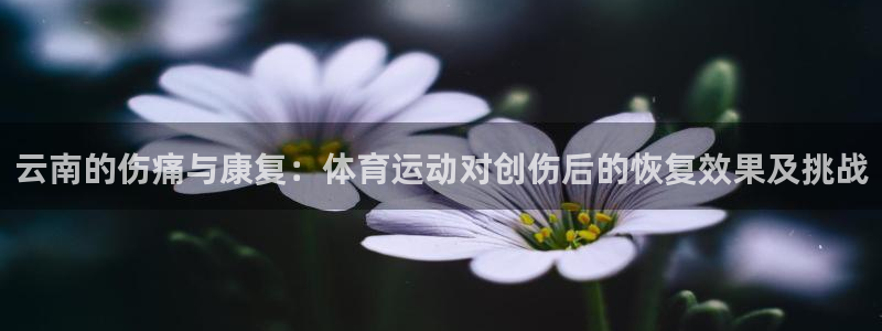 必一运动体育官网