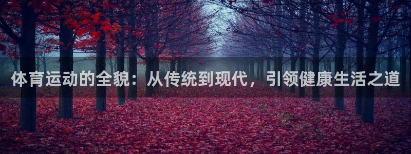 必一运动官网入口