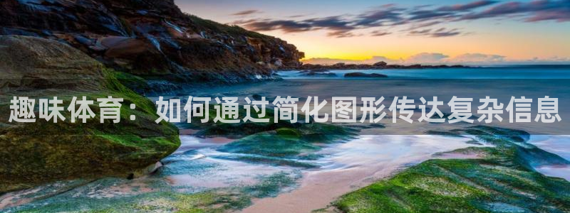 必一运动bsport体育