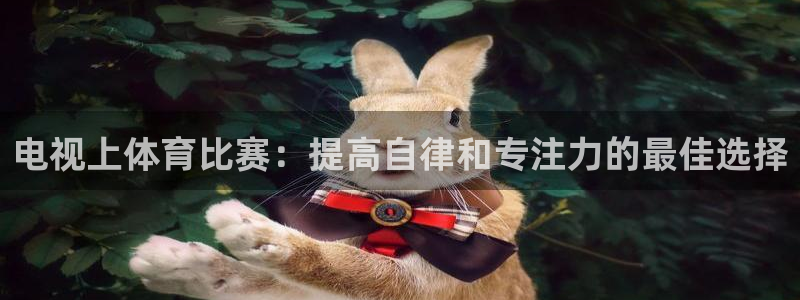 必一运动体育官网