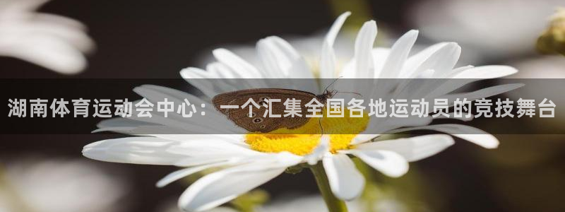 必一运动bsport体育