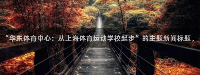 必一运动体育官网