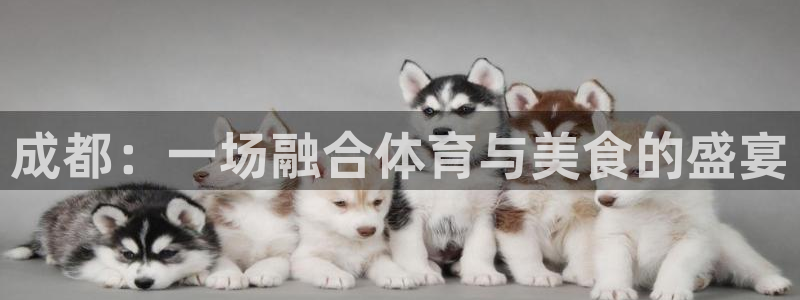 必一运动体育官网