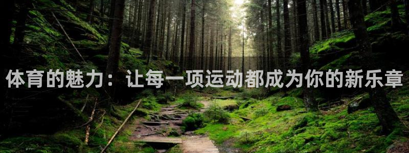 bsport必一运动