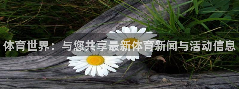 必一运动bsport体育