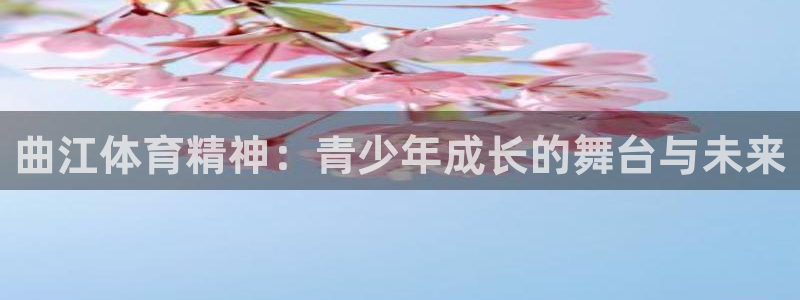 bsports官网 必一运动